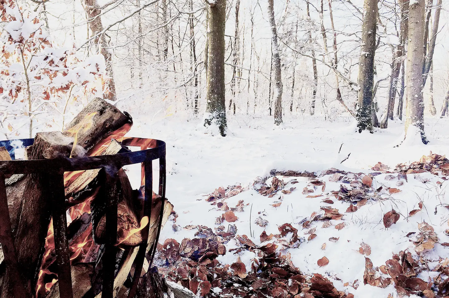 Sweden 2019 – photo 4
