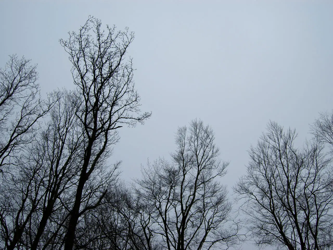 Sweden 2020 – photo 6