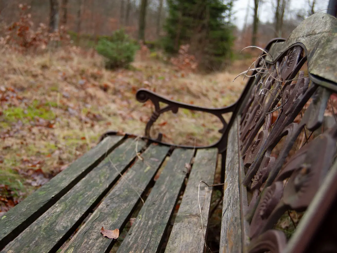 Sweden 2020 – photo 11