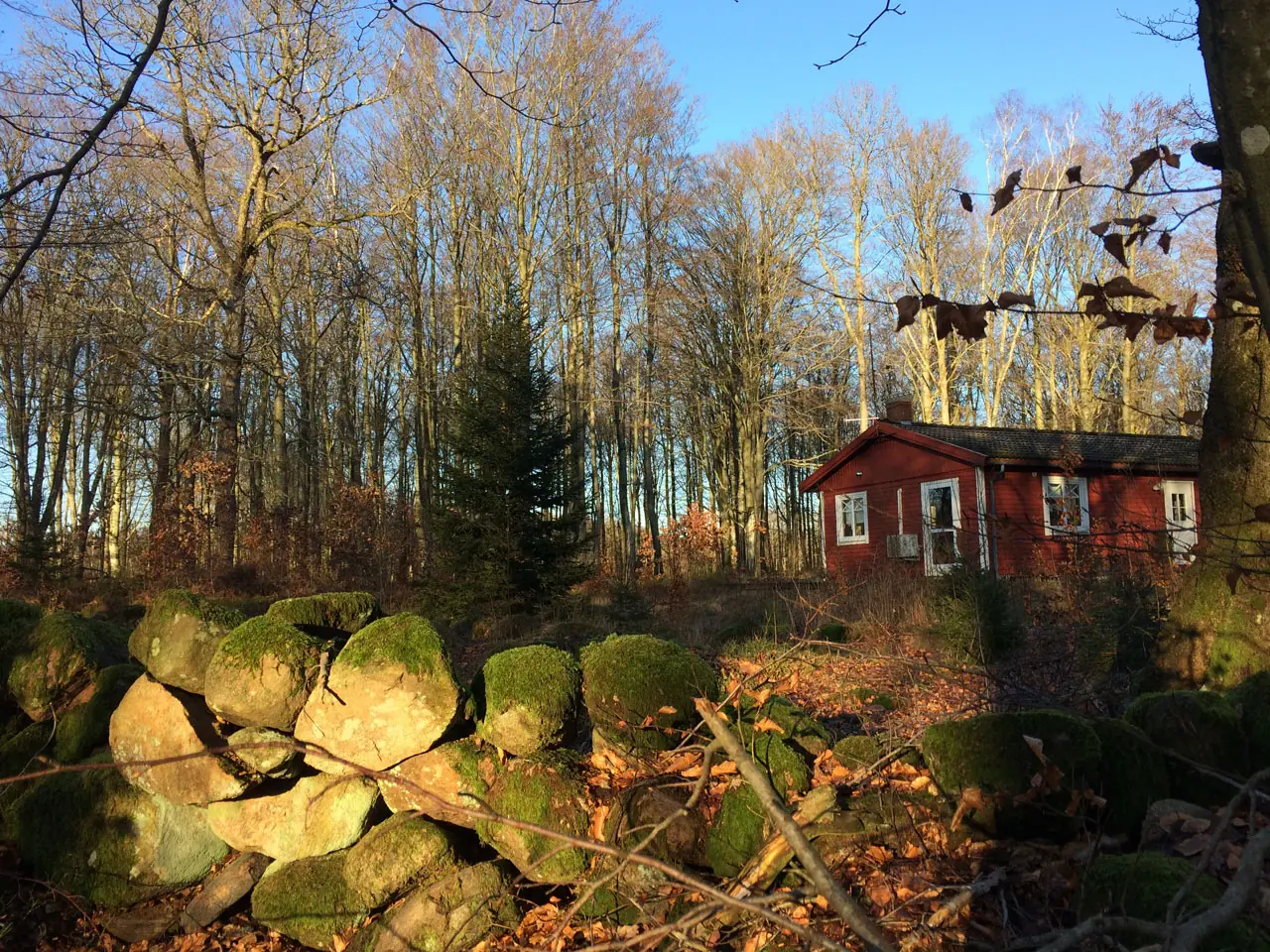 Sweden 2020 – photo 12