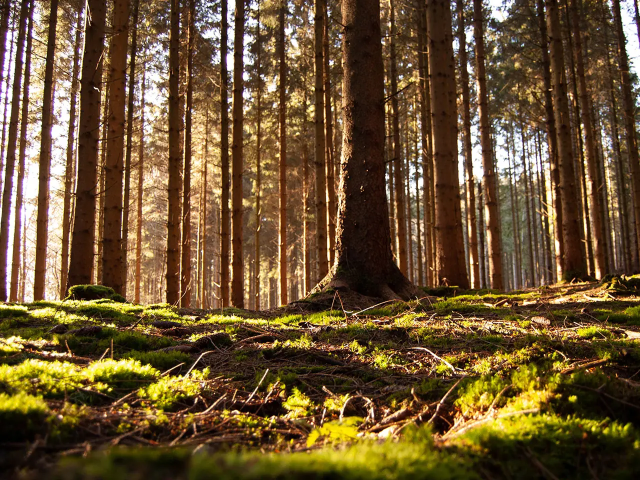 Sweden 2020 – photo 15