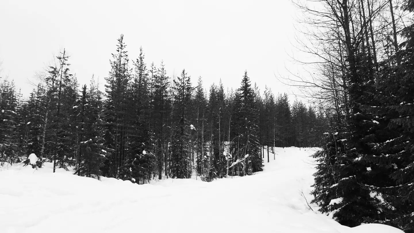 Sweden 2023 – photo 40