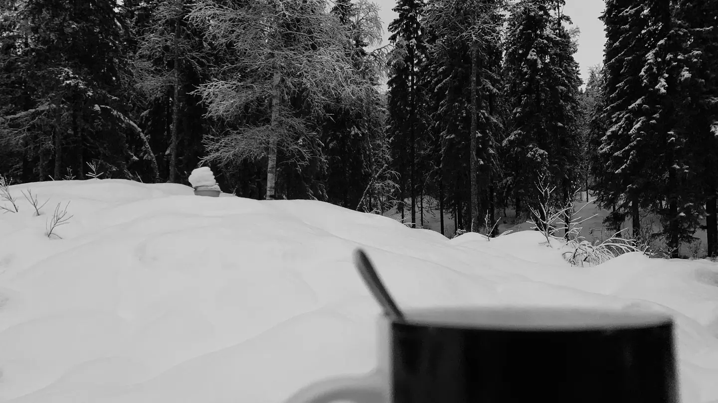 Sweden 2023 – photo 48