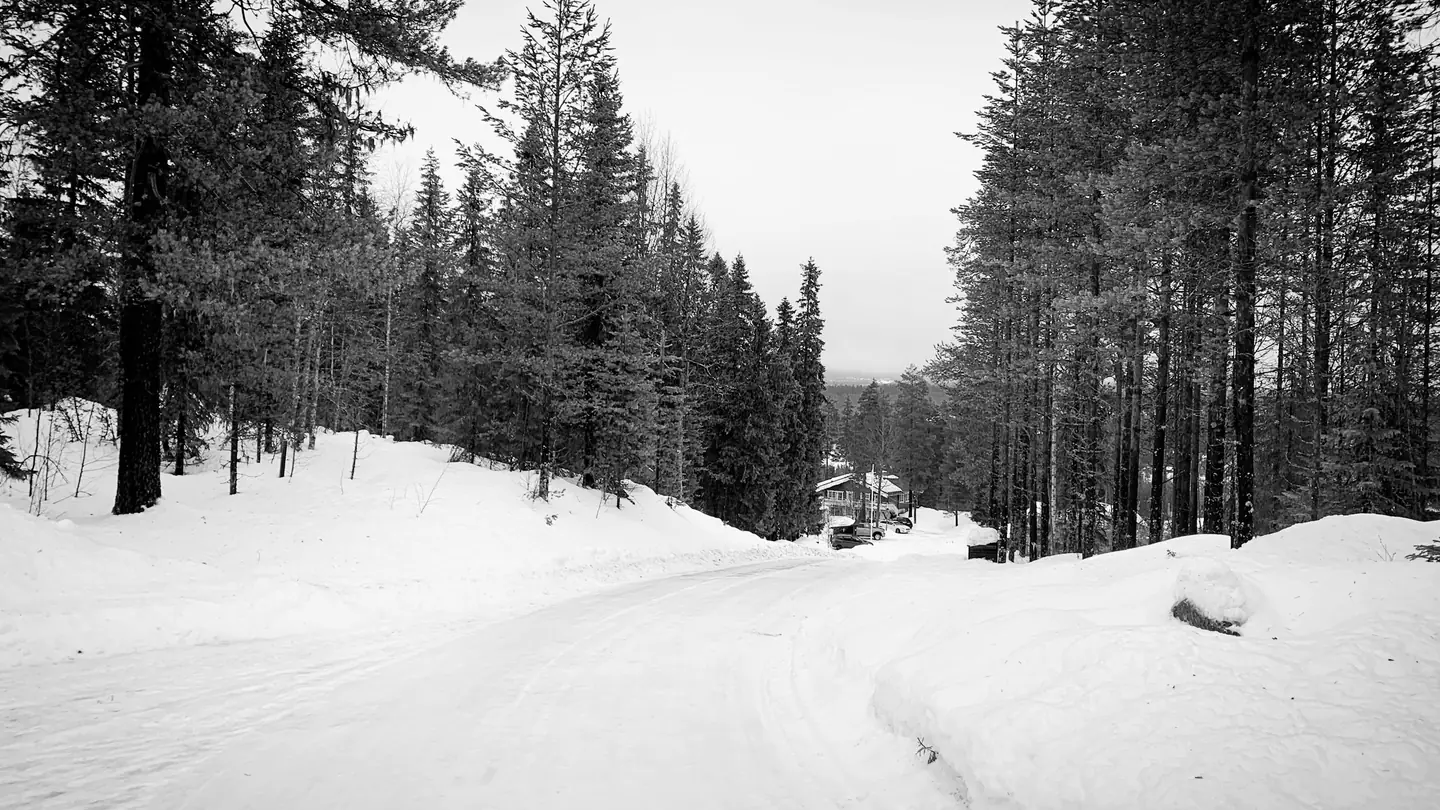 Sweden 2023 – photo 50