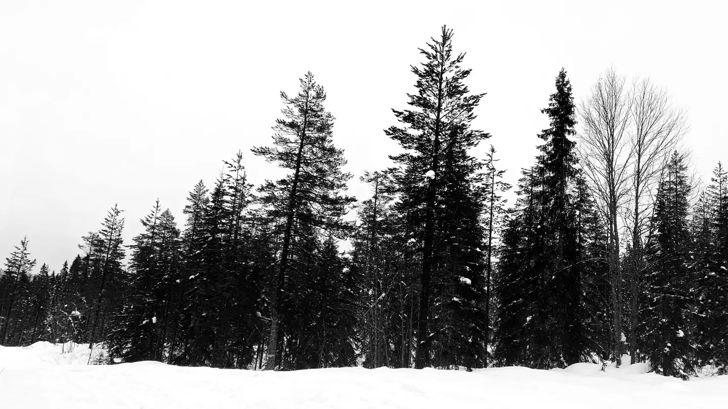 Sweden 2023 – photo 54