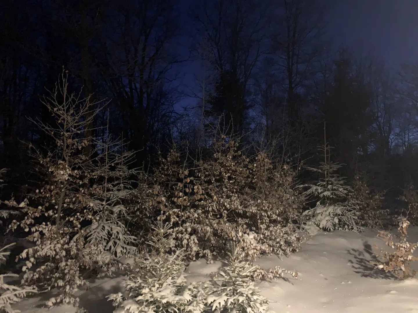 Sweden 2024 – photo 10