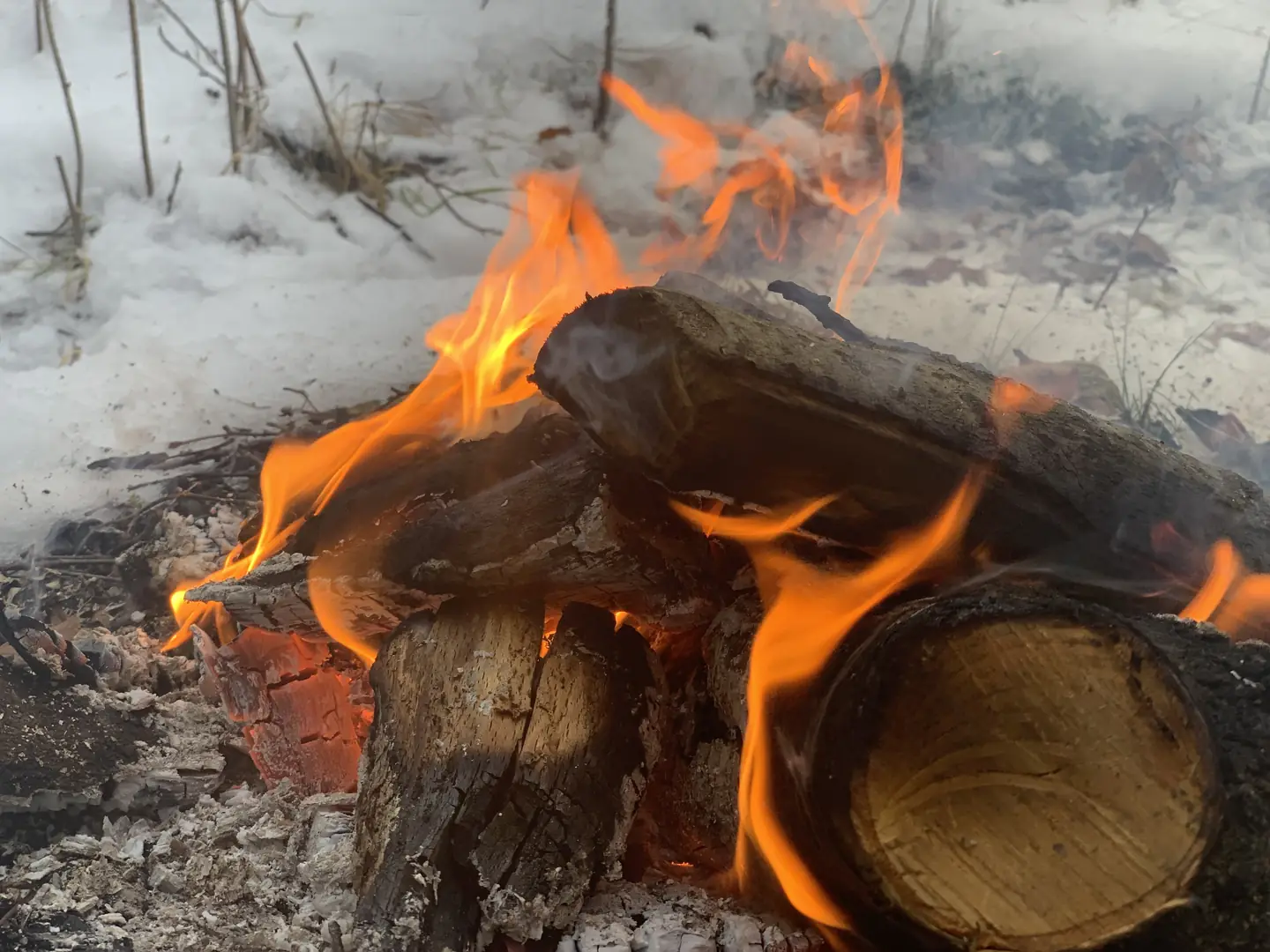 Sweden 2024 – photo 17