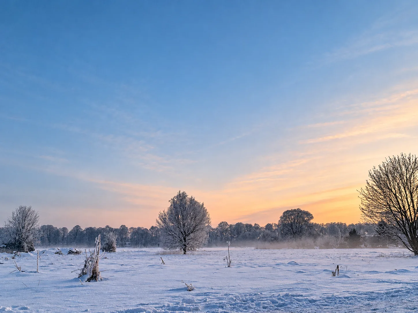 Raureif auf einer weiten Winterwiese