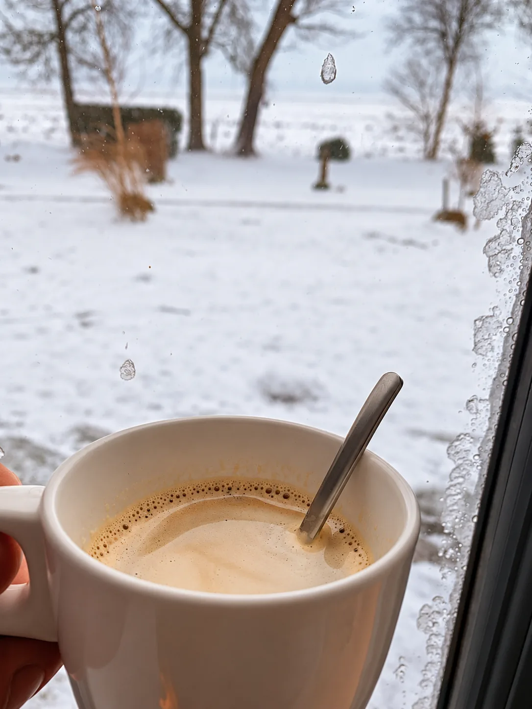 Kaffee vor dem vereisten Fenster mit Blick in den Garten